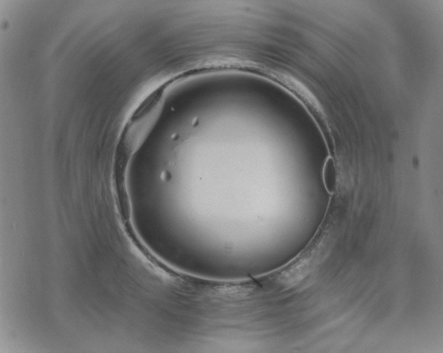 X0000073700847200608031212