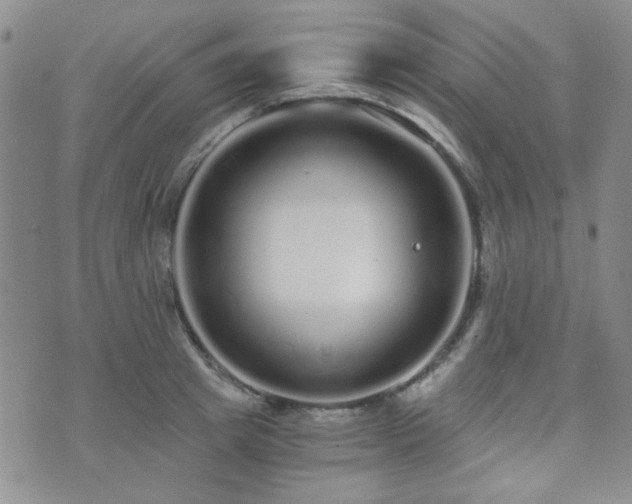 X0000073700849200608031213