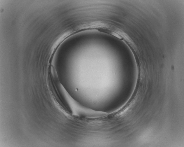 X0000073700850200608031213