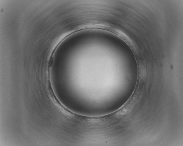 X0000073700852200608031213