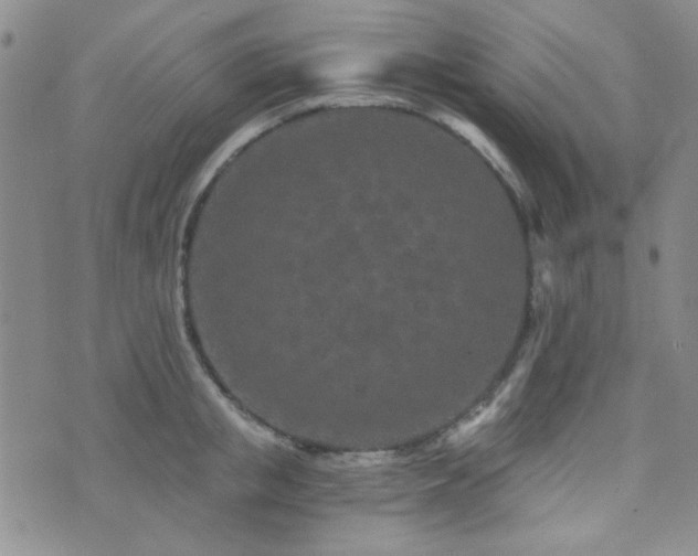 X0000073700853200608031213