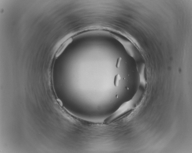 X0000073700854200608031213