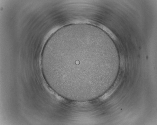 X0000073700856200608031213