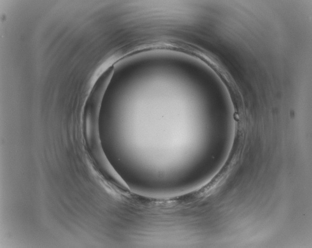 X0000073700858200608031213