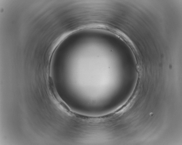 X0000073700860200608031213