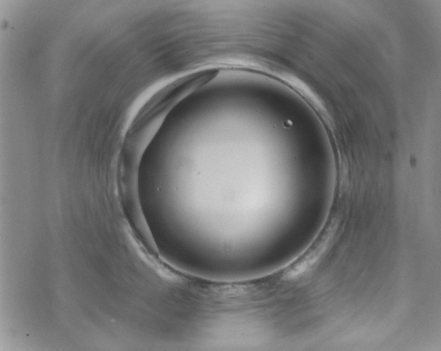 X0000073700862200608031213