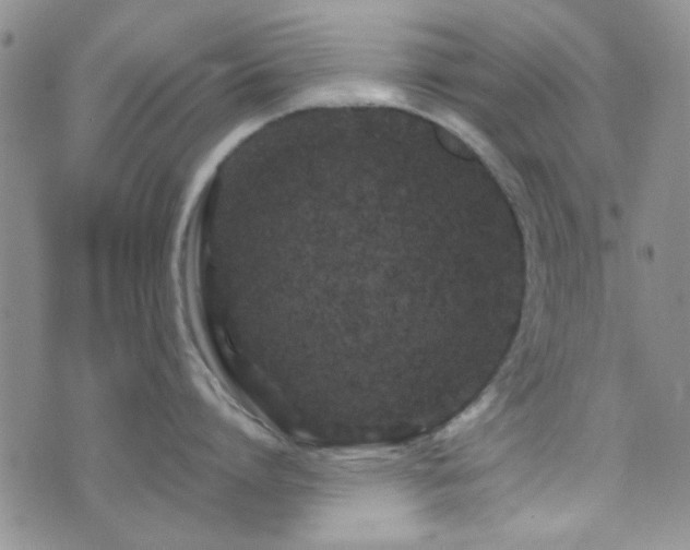 X0000073700864200608031213