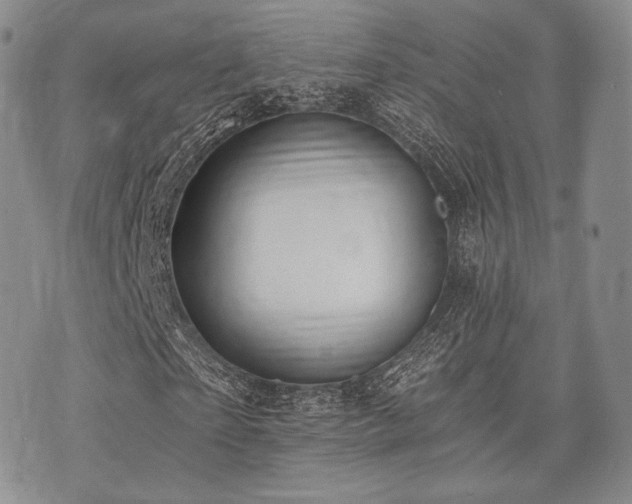 X0000073700865200608031212