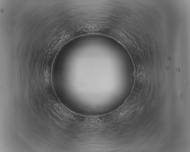 X0000073700866200608031212