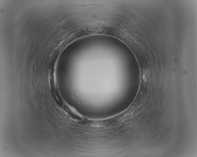 X0000073700867200608031212