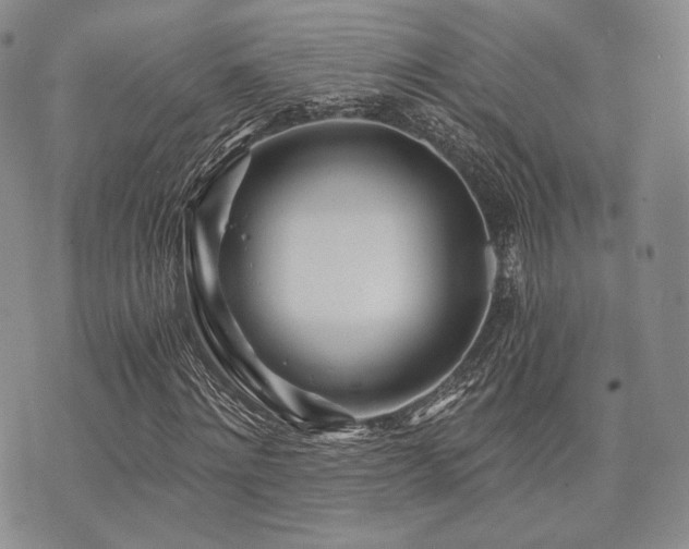 X0000073700868200608031212