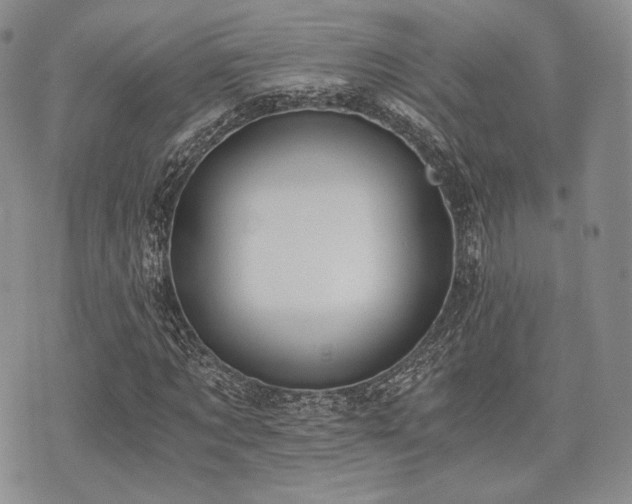 X0000073700869200608031212