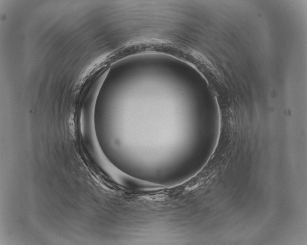 X0000073700872200608031212