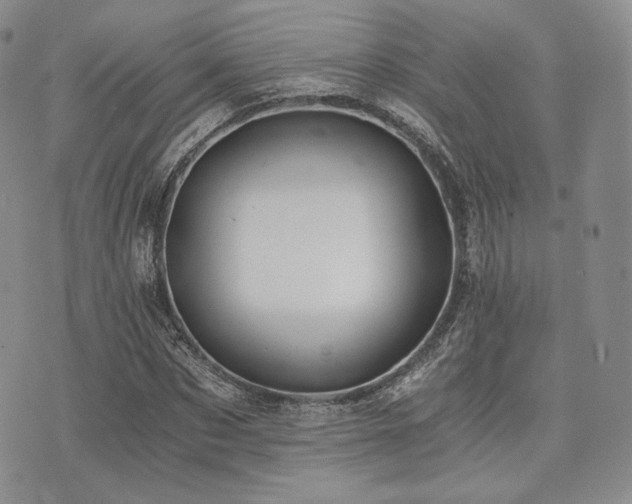 X0000073700873200608031212