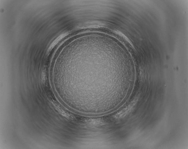 X0000073700874200608031212