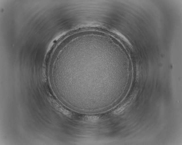 X0000073700878200608031212