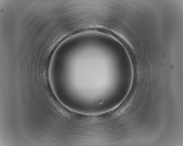 X0000073700881200608031212