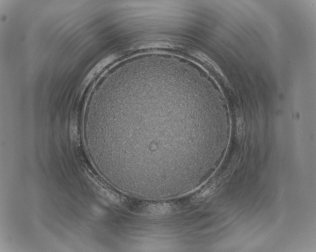 X0000073700882200608031212