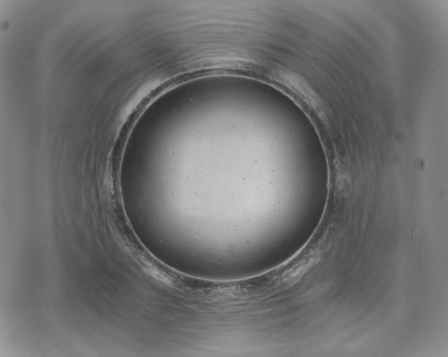 X0000073700883200608031212