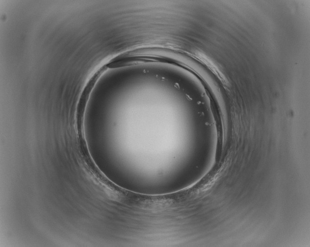 X0000073700884200608031212