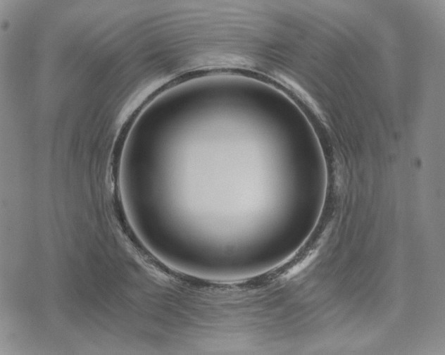 X0000073700885200608031212