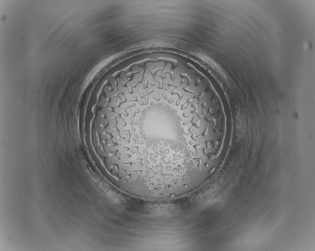 X0000073700886200608031212