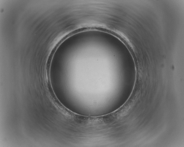 X0000073700887200608031212