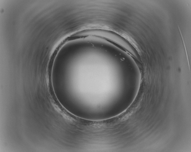 X0000073700888200608031212