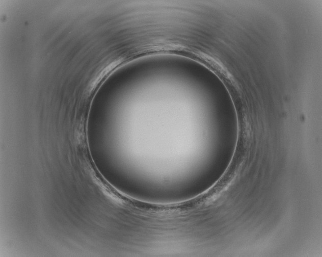 X0000073700889200608031212