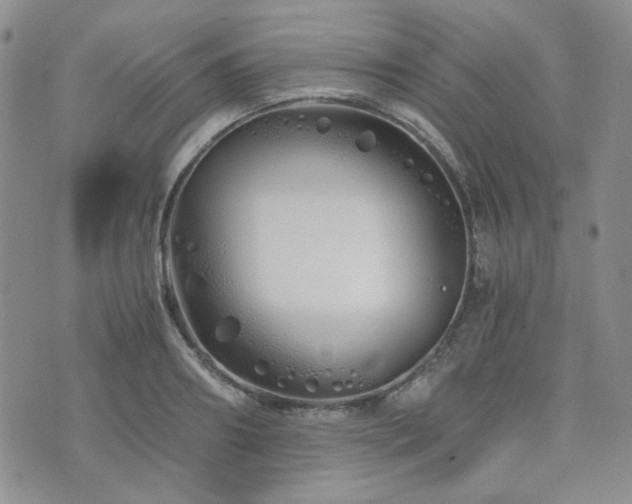 X0000073700890200608031212