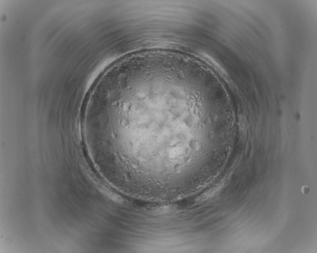 X0000073700891200608031212