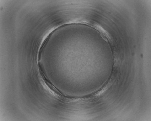 X0000073700892200608031212