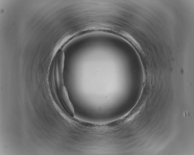 X0000073700893200608031212