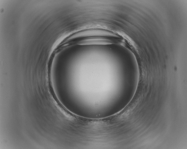 X0000073700894200608031212