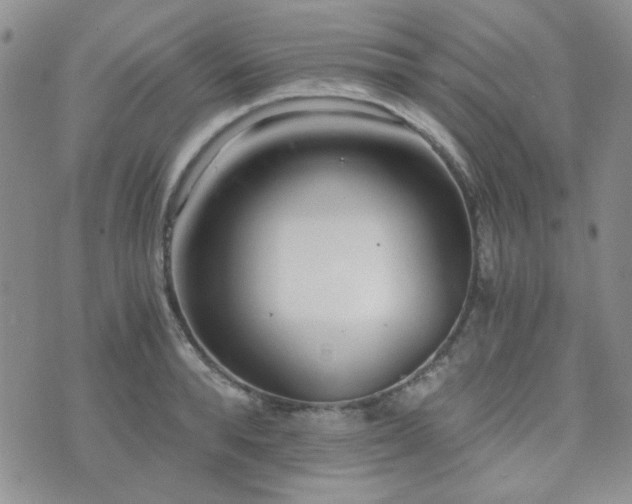 X0000073700896200608031212