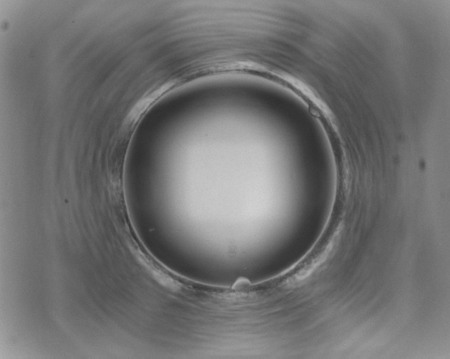 X0000073700897200608031211