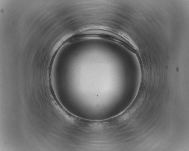 X0000073700898200608031211