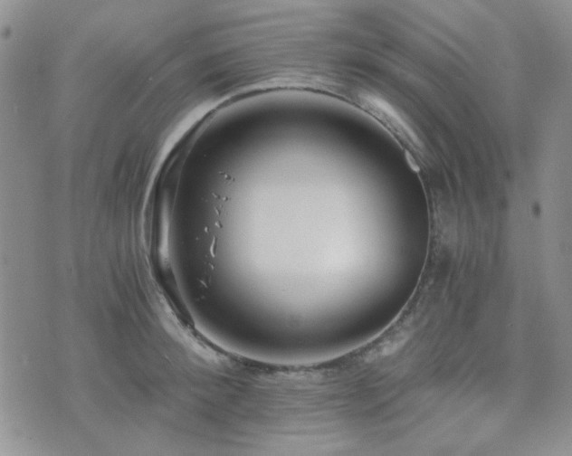 X0000073700900200608031211