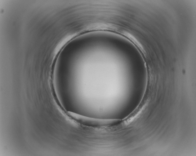 X0000073700901200608031211