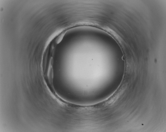 X0000073700902200608031211