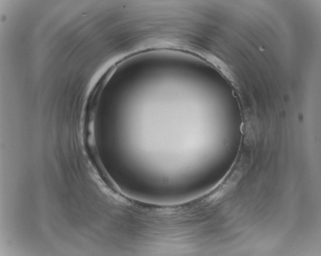 X0000073700904200608031211