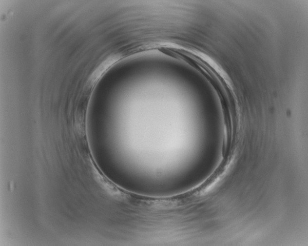 X0000073700905200608031211