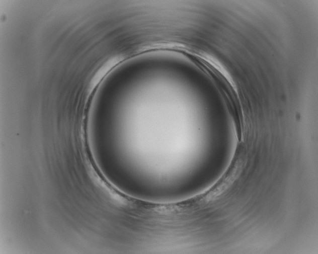 X0000073700906200608031211