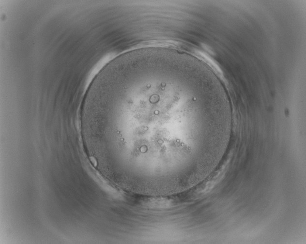 X0000073700907200608031211