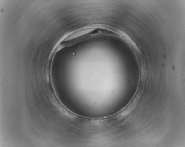 X0000073700908200608031211