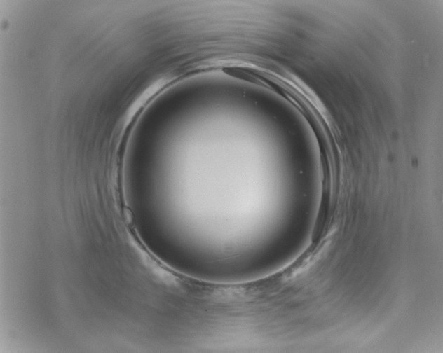 X0000073700909200608031211