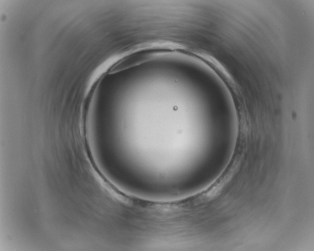 X0000073700910200608031211