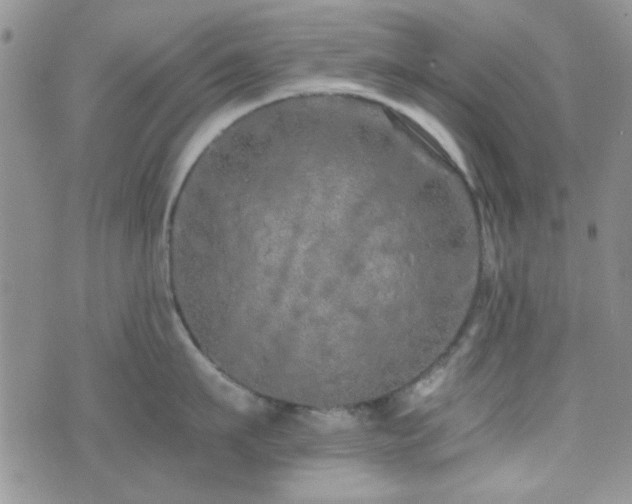 X0000073700911200608031211