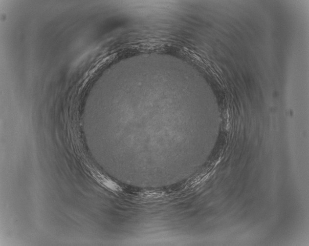 X0000073700913200608031210