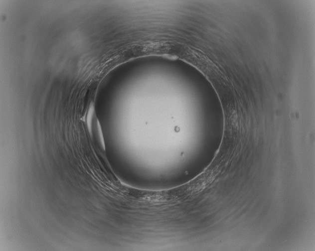 X0000073700914200608031210